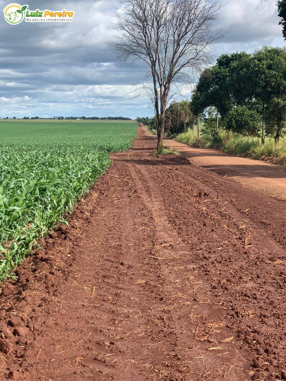 Fazenda à venda, 2199m² - Foto 11