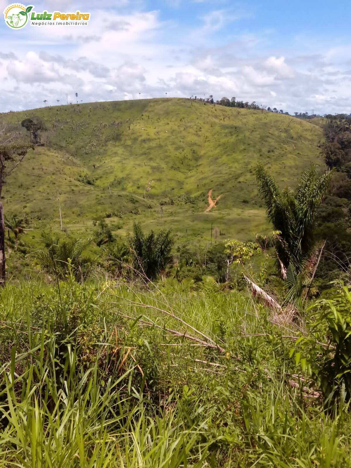 Fazenda à venda, 387m² - Foto 2