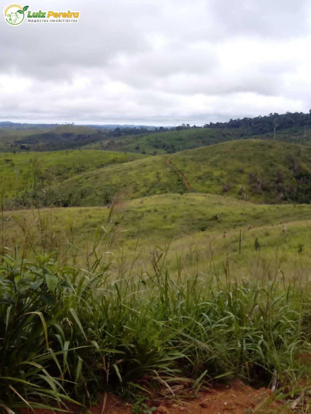 Fazenda à venda, 387m² - Foto 3