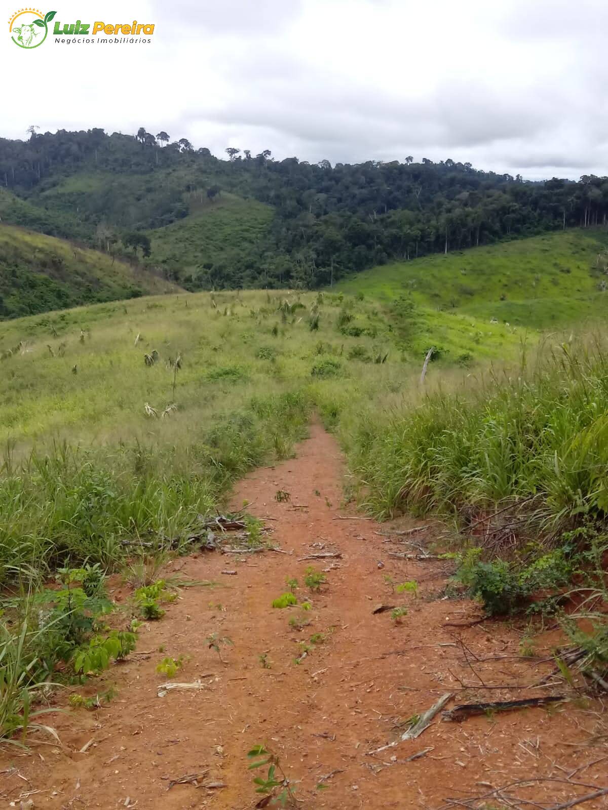 Fazenda à venda, 387m² - Foto 5