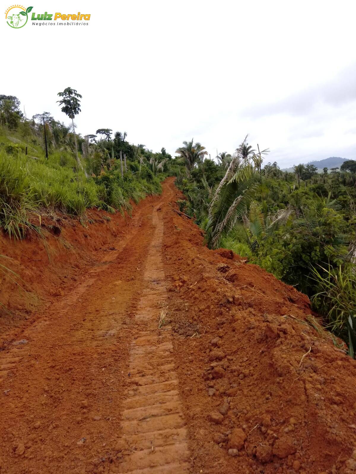 Fazenda à venda, 387m² - Foto 6