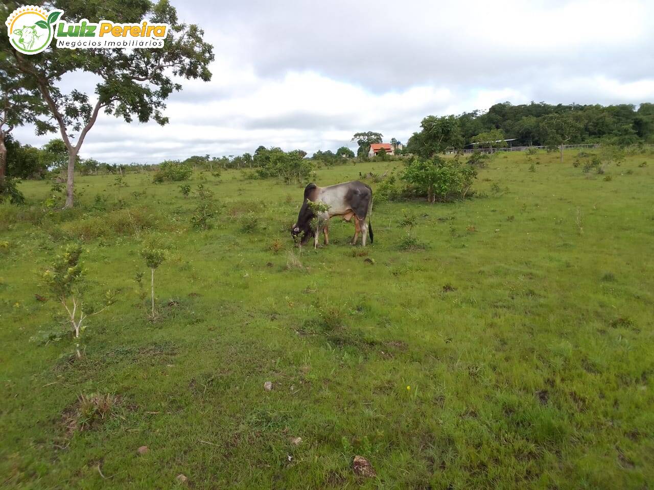 Fazenda à venda, 1064m² - Foto 8