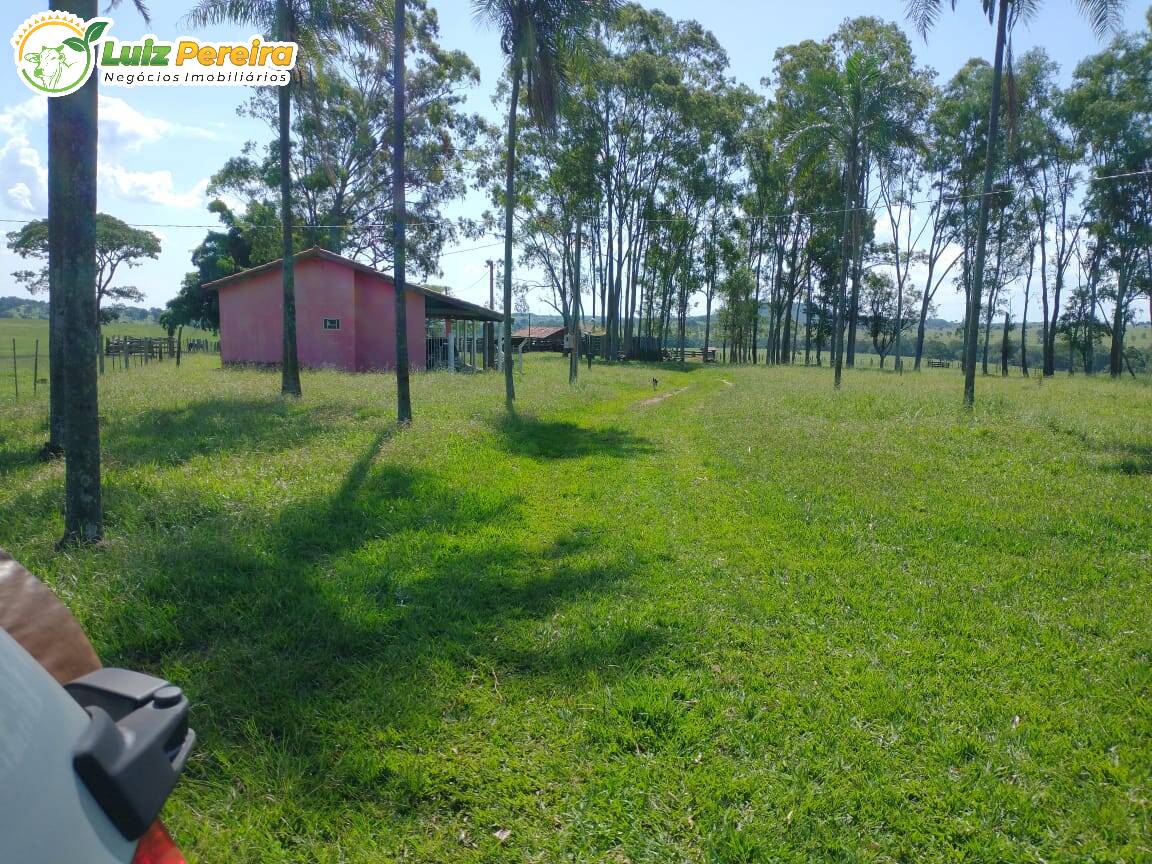 Fazenda à venda, 285m² - Foto 5