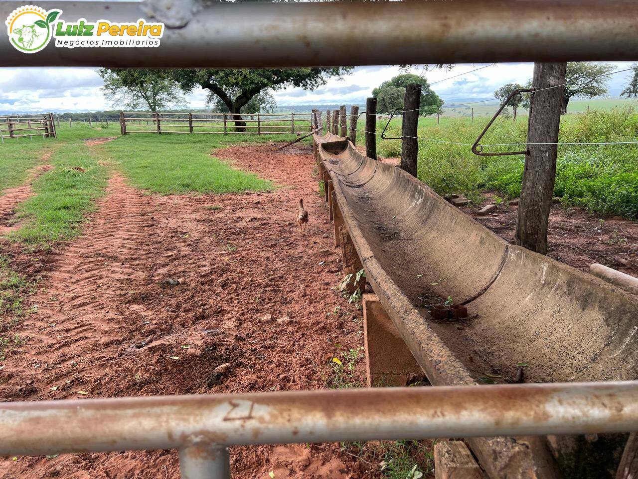 Fazenda à venda, 317m² - Foto 8