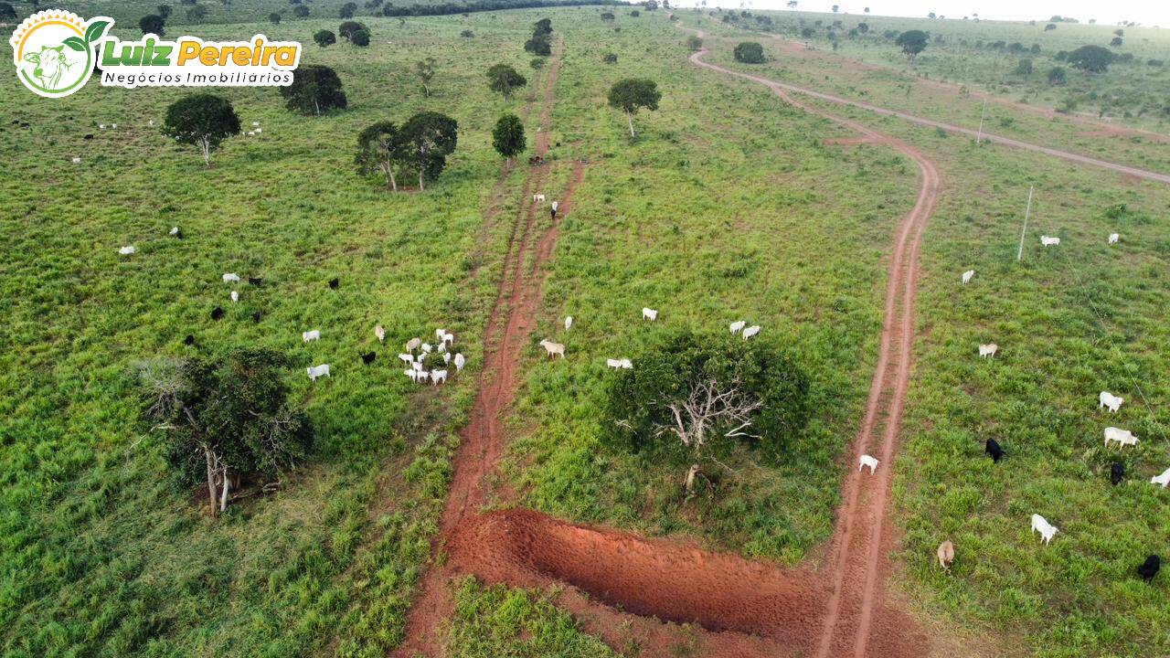 Fazenda à venda, 307m² - Foto 60