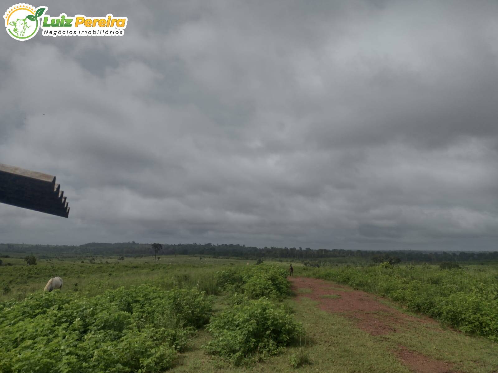 Fazenda à venda, 1936m² - Foto 5