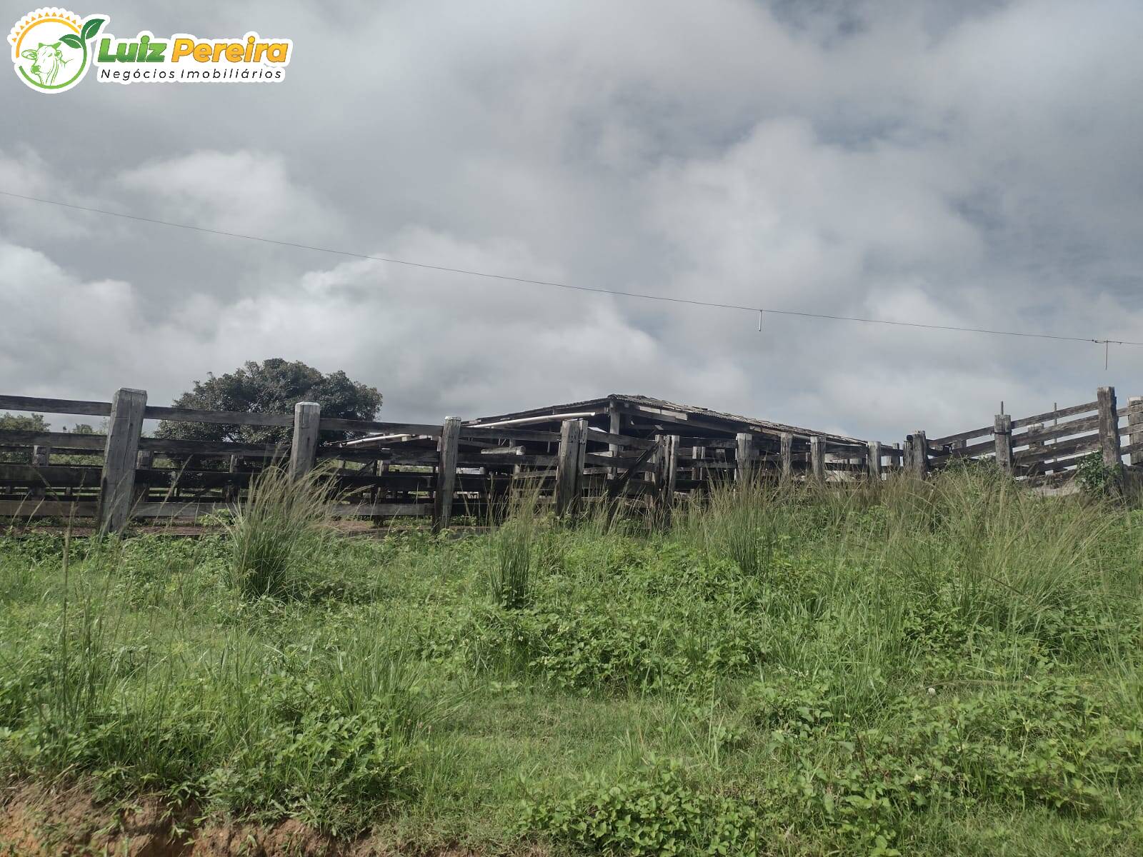 Fazenda à venda, 1936m² - Foto 4