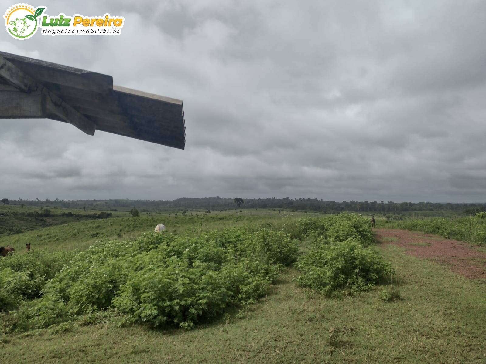 Fazenda à venda, 1936m² - Foto 6