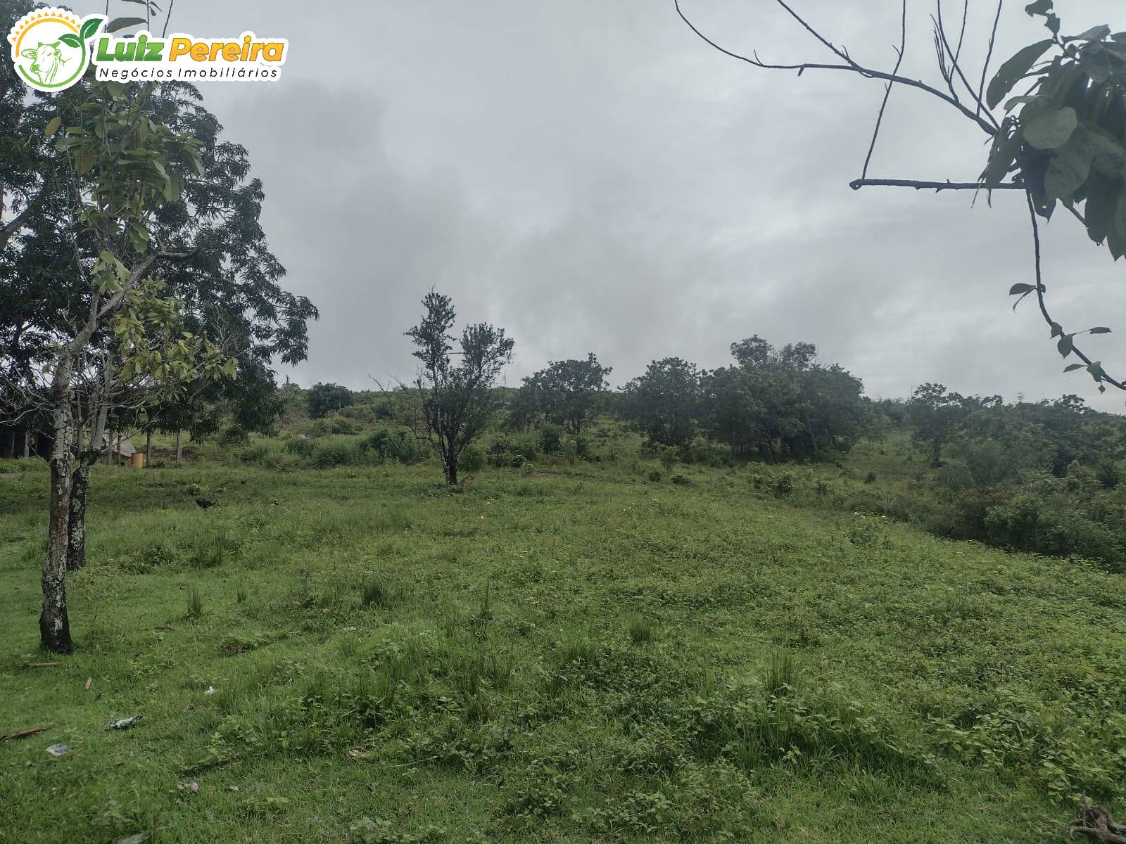 Fazenda à venda, 1936m² - Foto 1