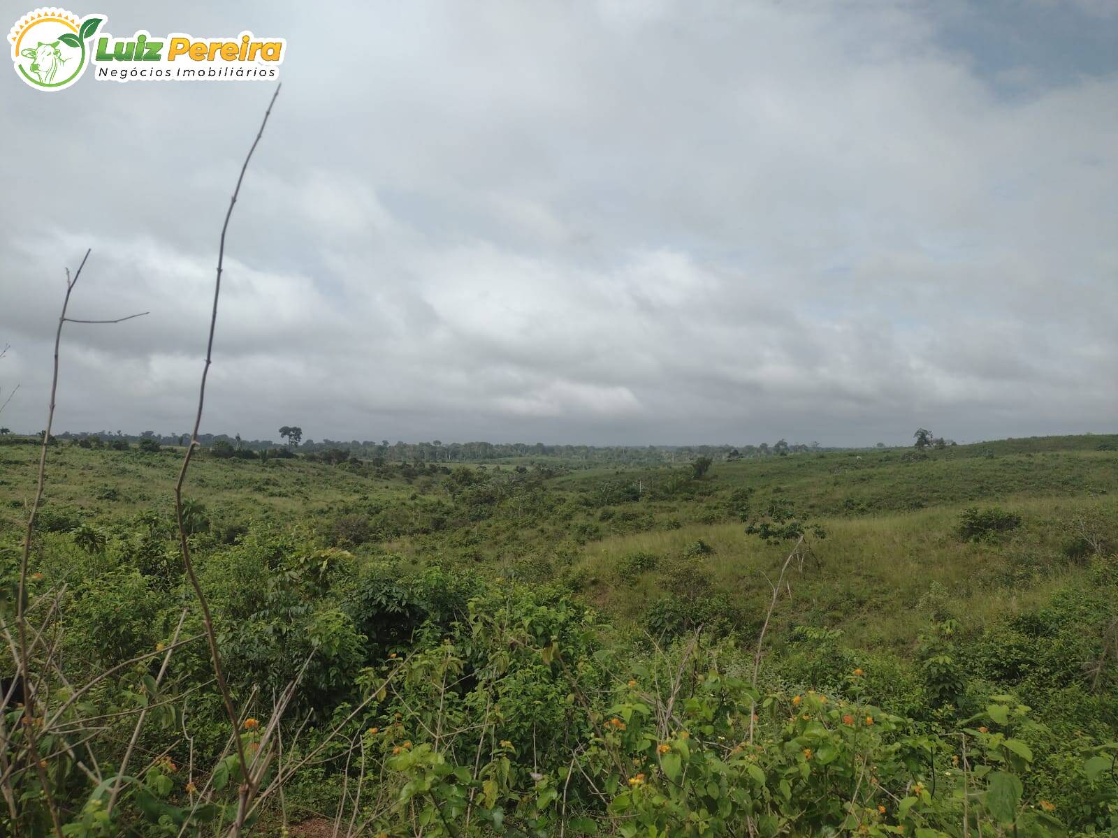 Fazenda à venda, 1936m² - Foto 2