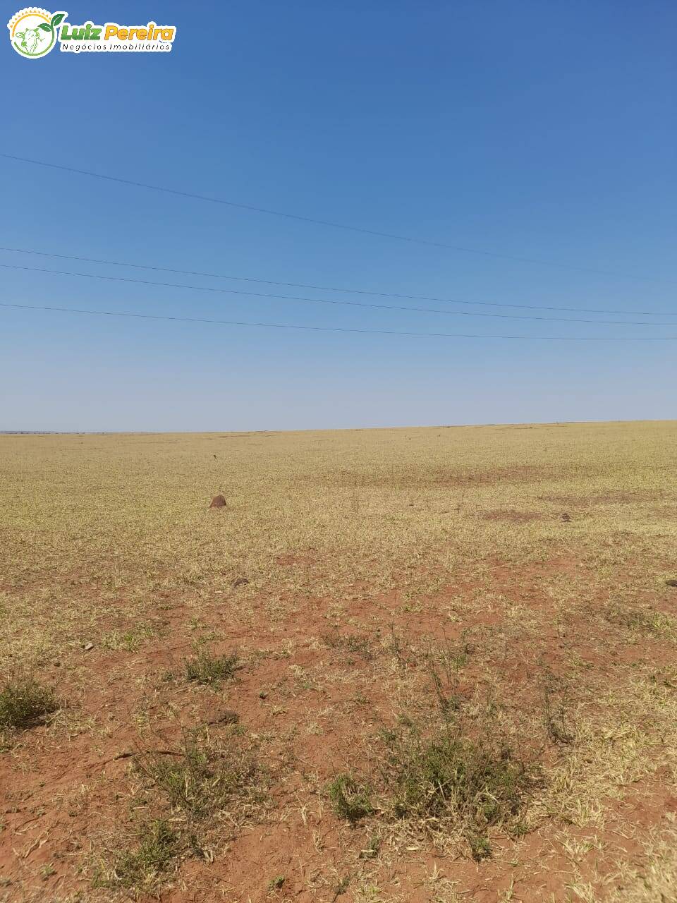 Fazenda à venda, 1250m² - Foto 3