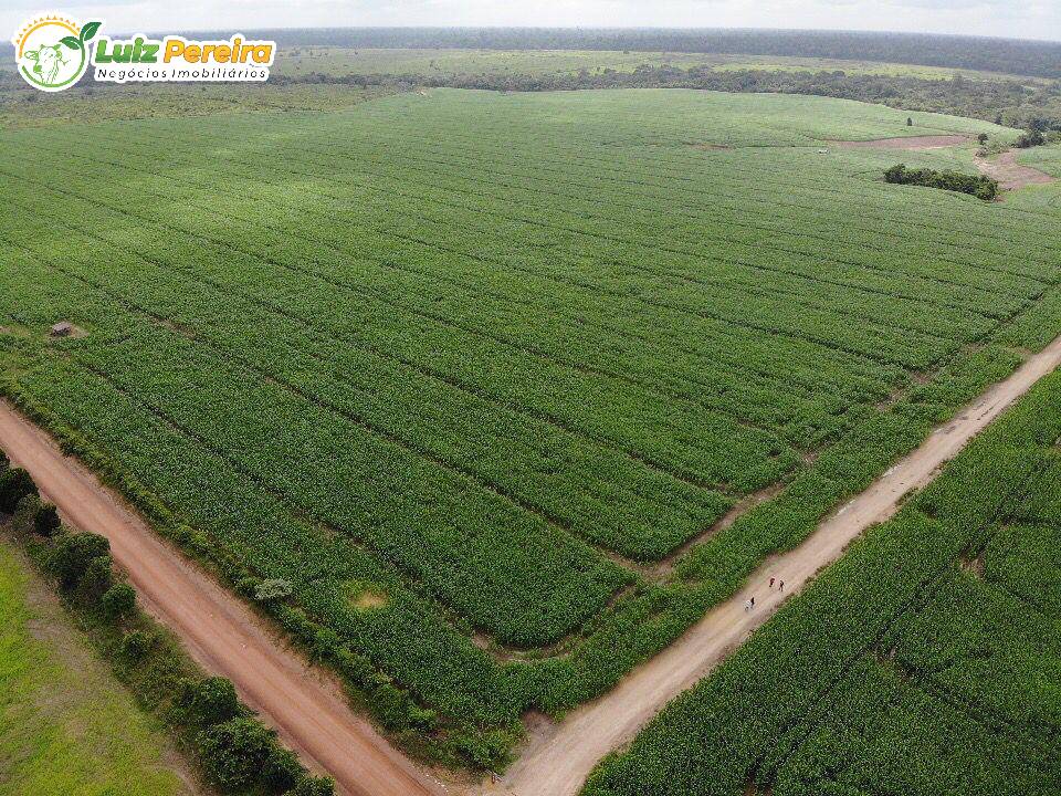 Fazenda à venda, 5000m² - Foto 5