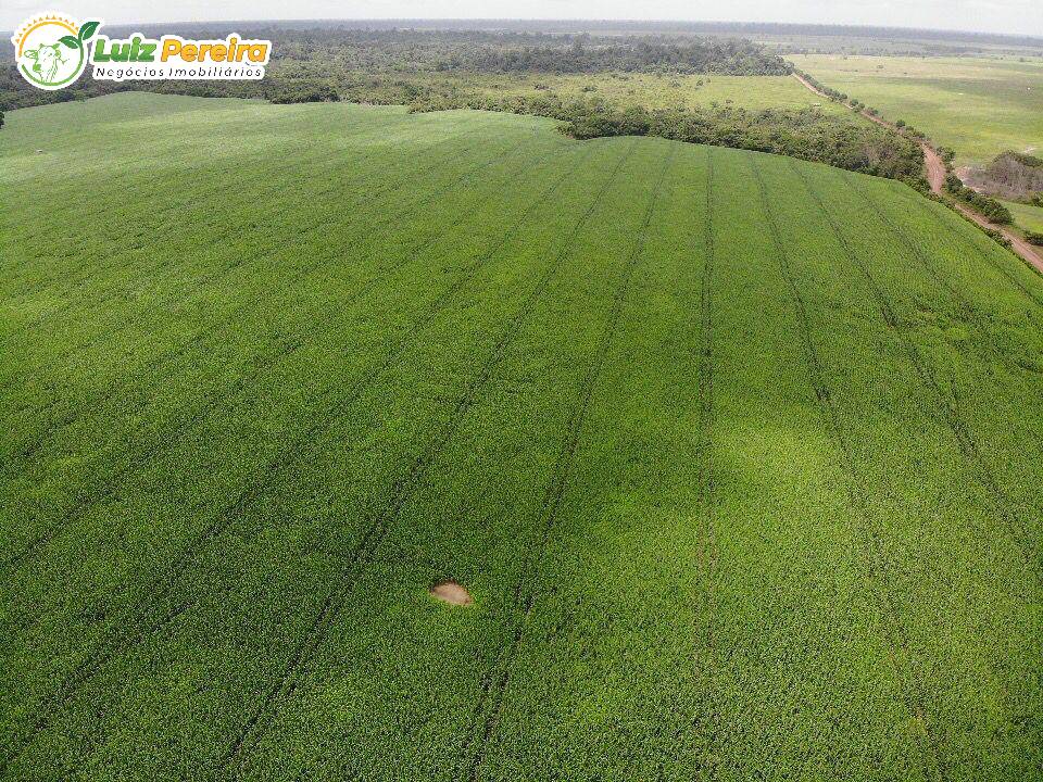 Fazenda à venda, 5000m² - Foto 6