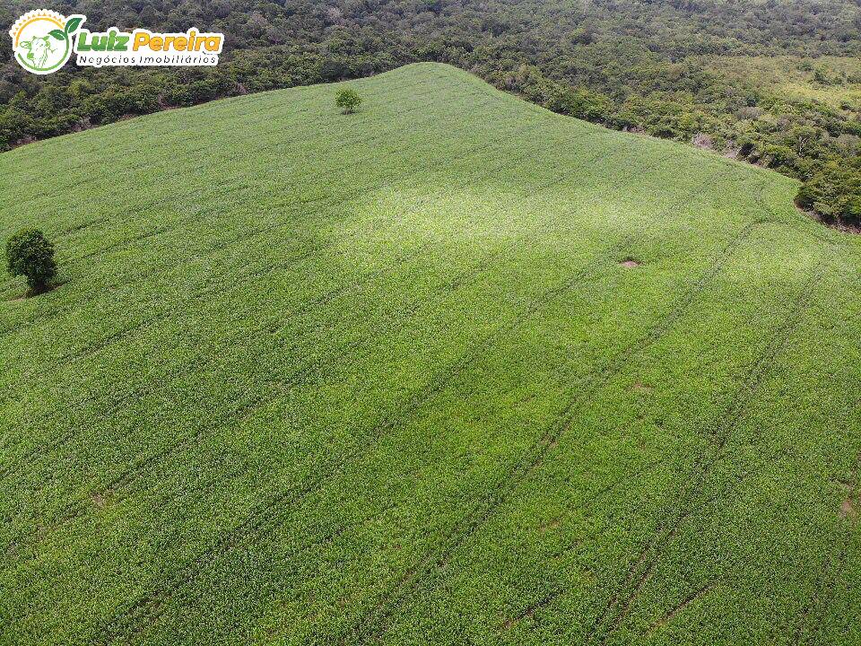 Fazenda à venda, 5000m² - Foto 7