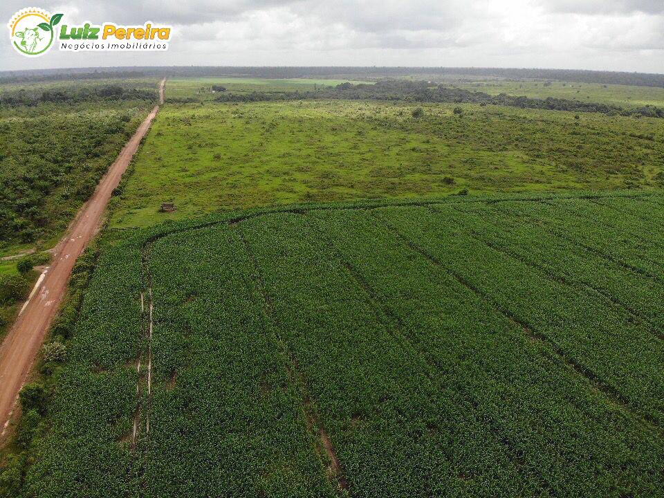 Fazenda à venda, 5000m² - Foto 10