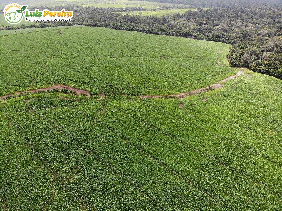 Fazenda à venda, 5000m² - Foto 8