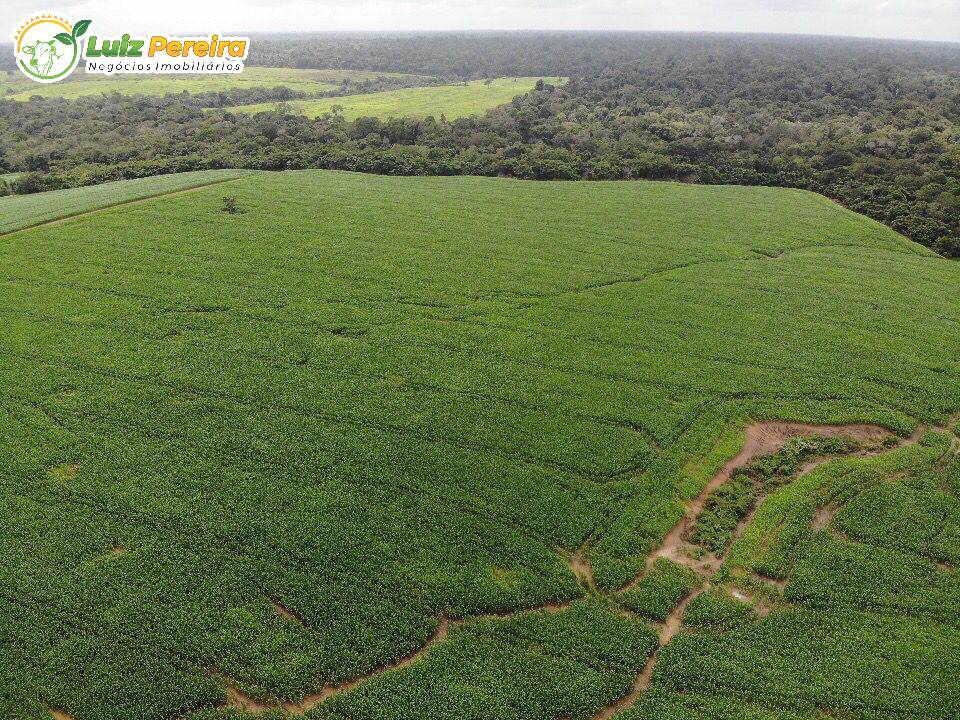 Fazenda à venda, 5000m² - Foto 9