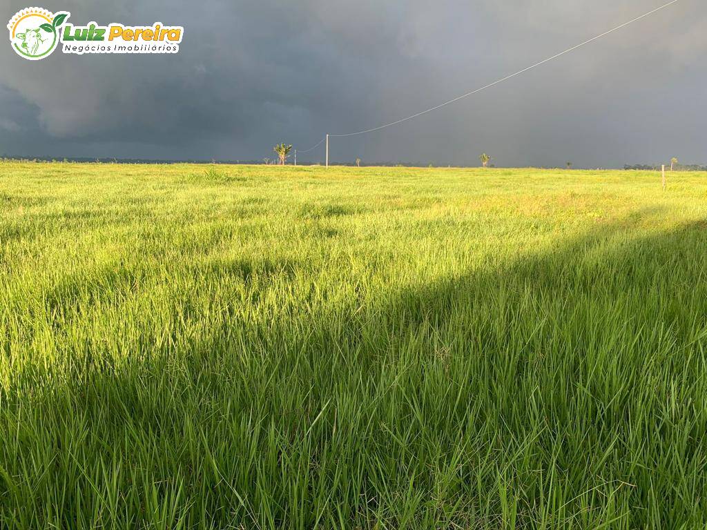 Fazenda à venda, 5000m² - Foto 13