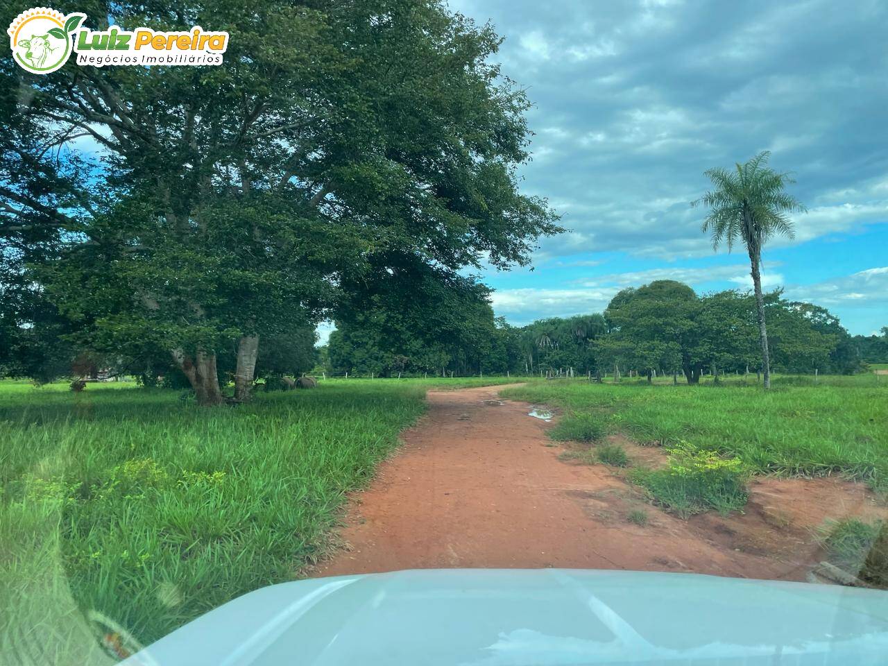 Fazenda à venda, 1694m² - Foto 9