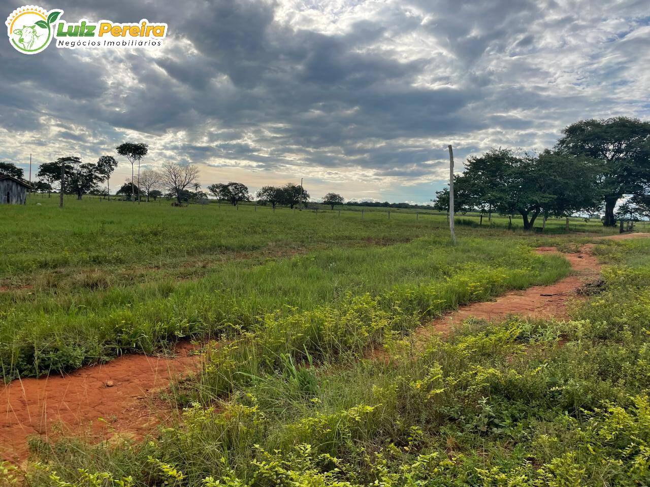 Fazenda à venda, 1694m² - Foto 14