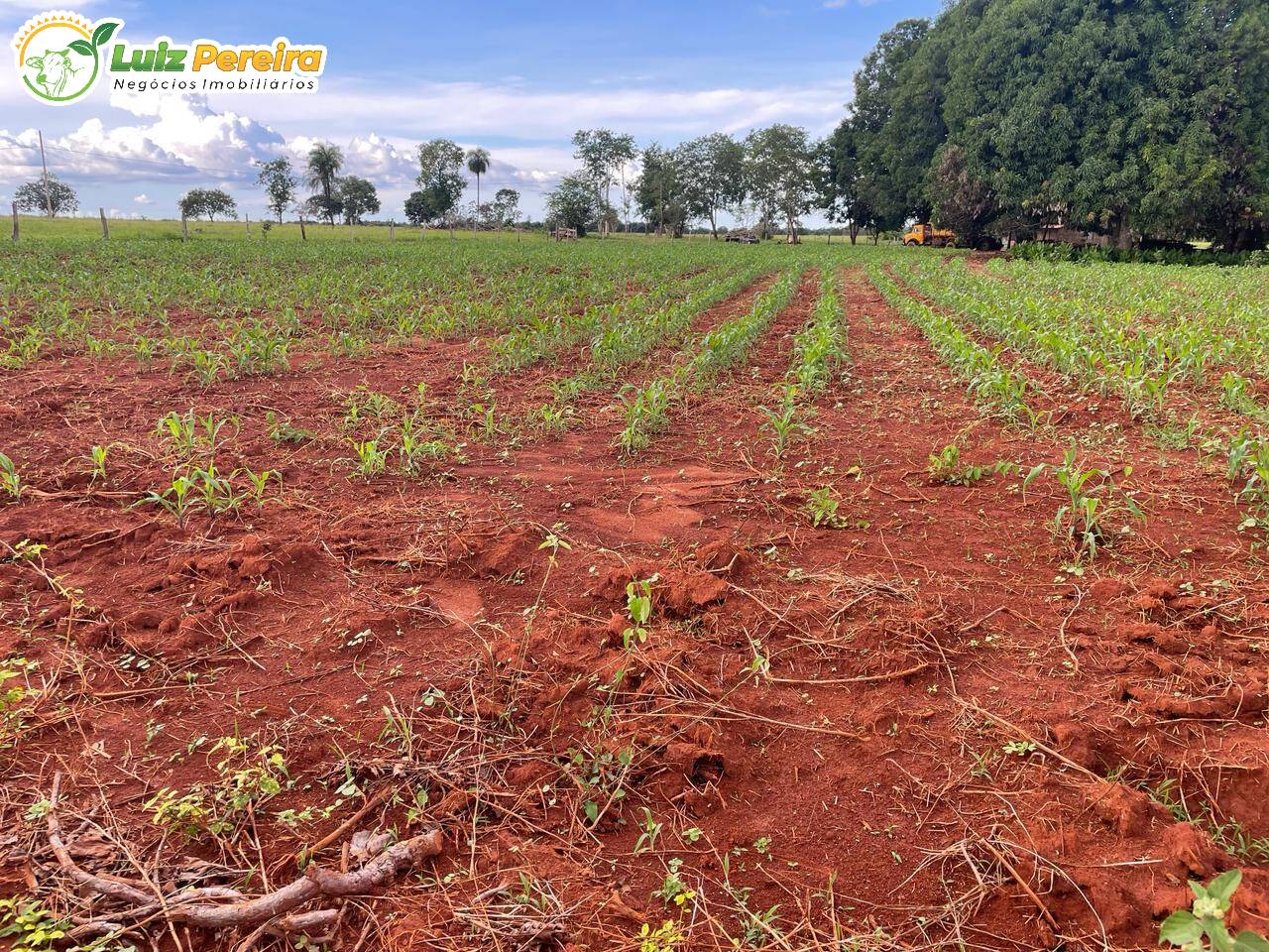 Fazenda à venda, 1694m² - Foto 15