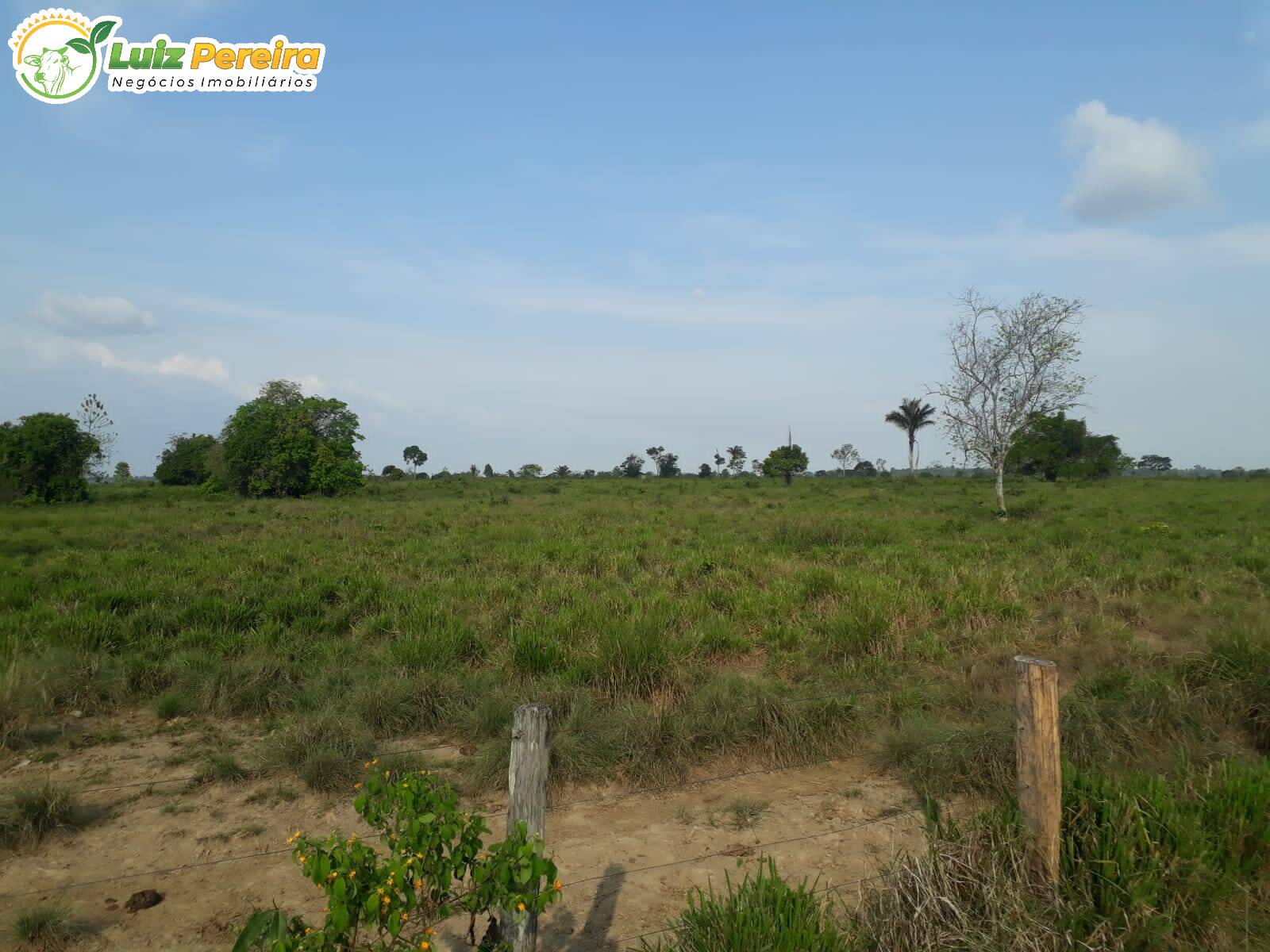 Fazenda à venda, 6098400m² - Foto 6