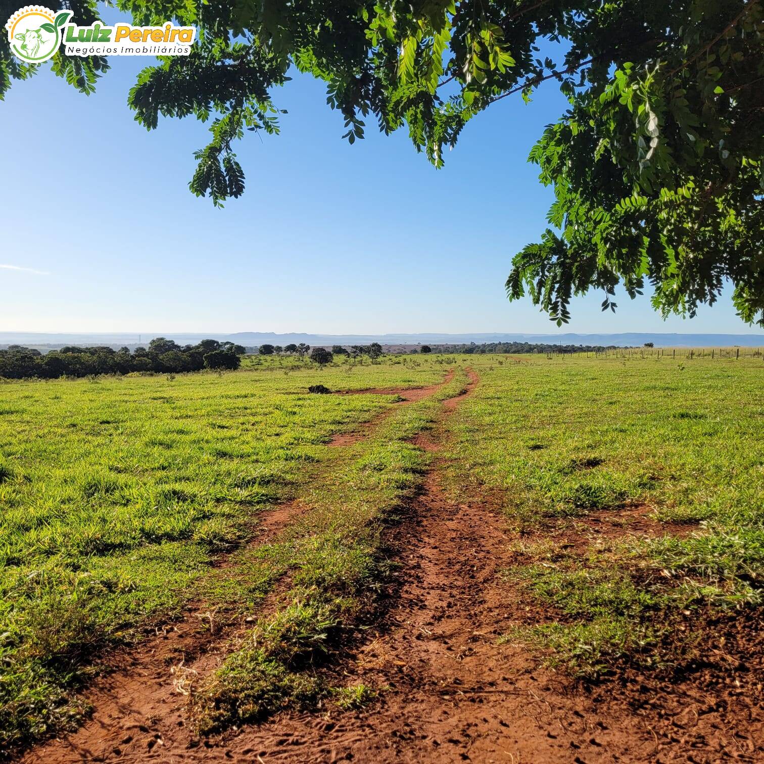 Fazenda à venda, 819m² - Foto 7