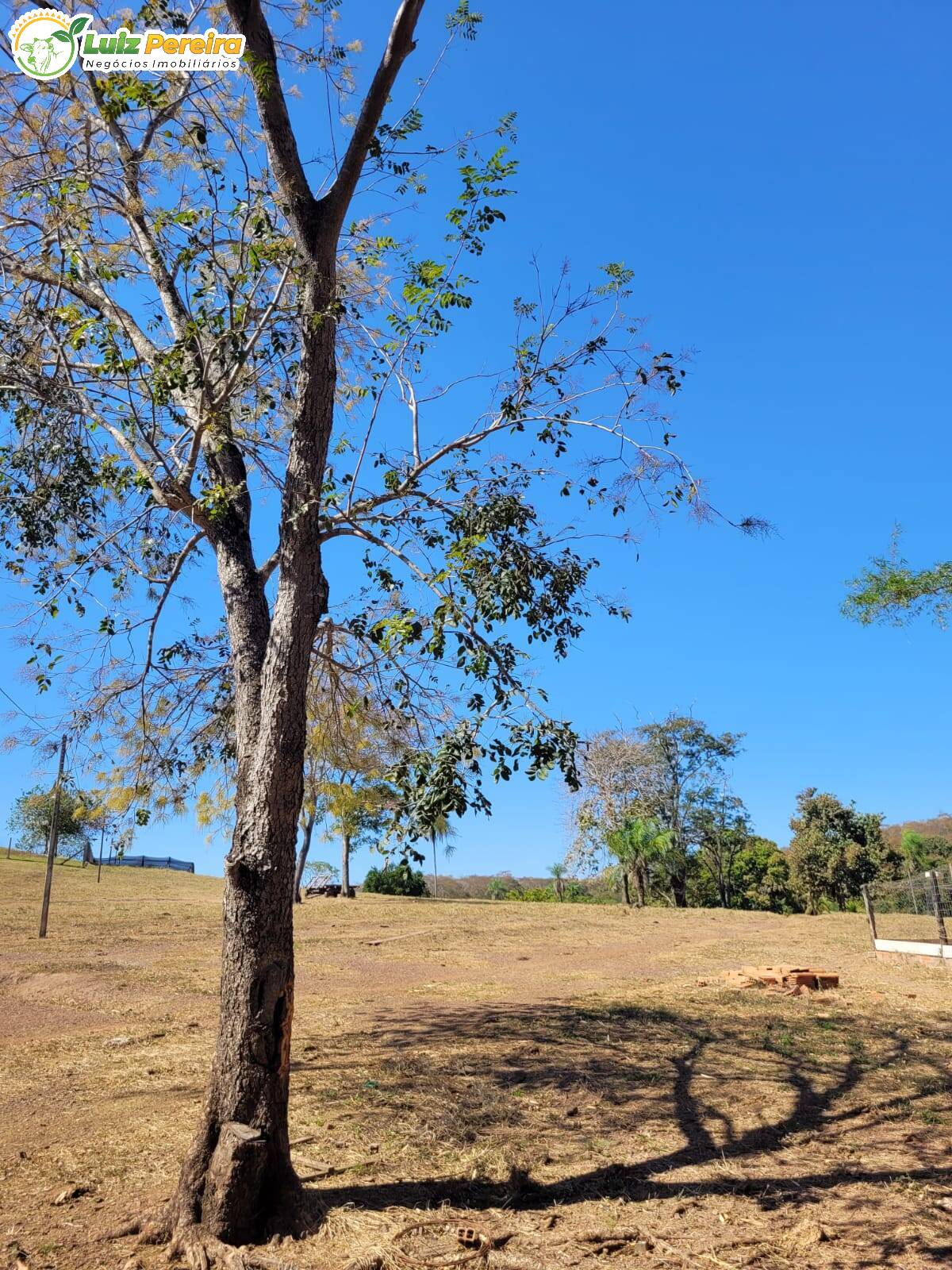 Fazenda à venda, 198m² - Foto 9