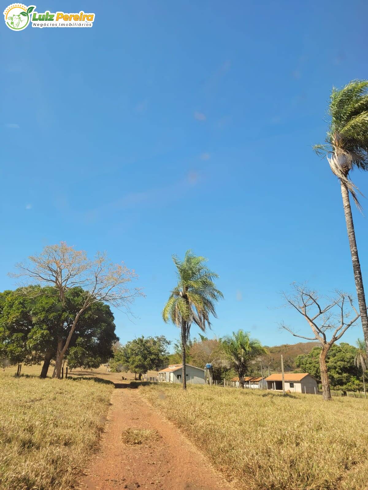 Fazenda à venda, 198m² - Foto 11