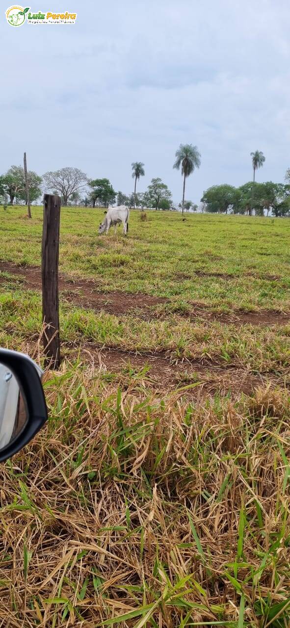 Fazenda à venda, 328m² - Foto 9