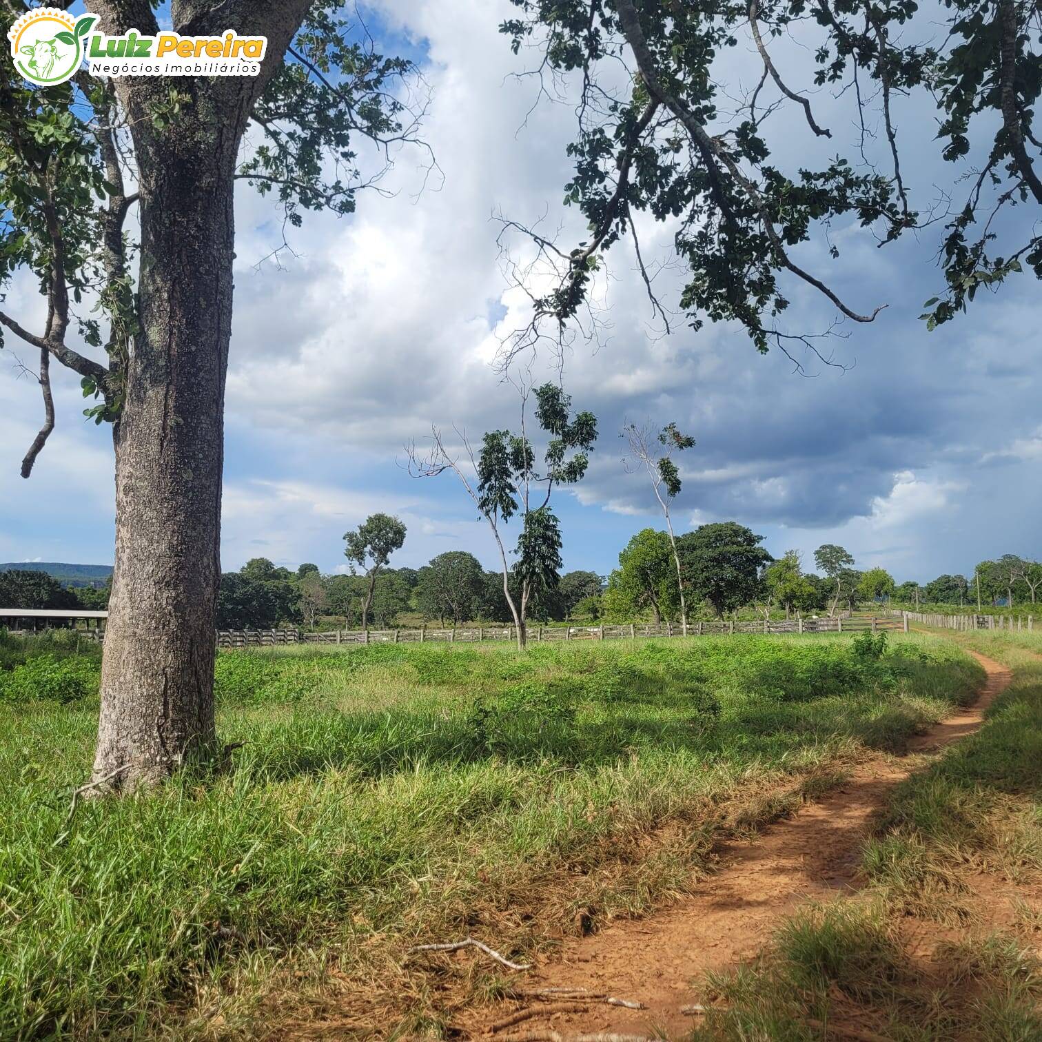 Fazenda à venda, 4892m² - Foto 5