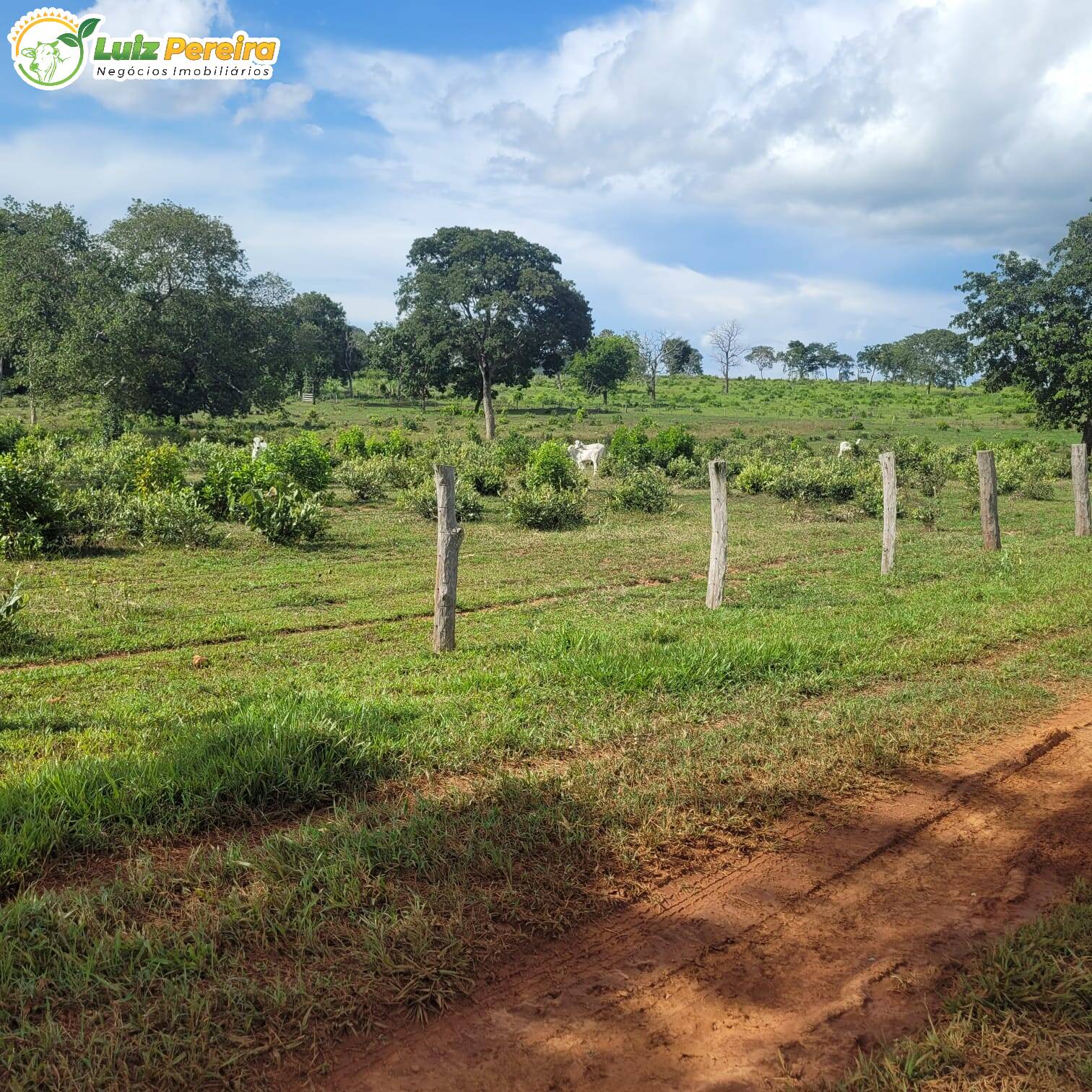 Fazenda à venda, 4892m² - Foto 6