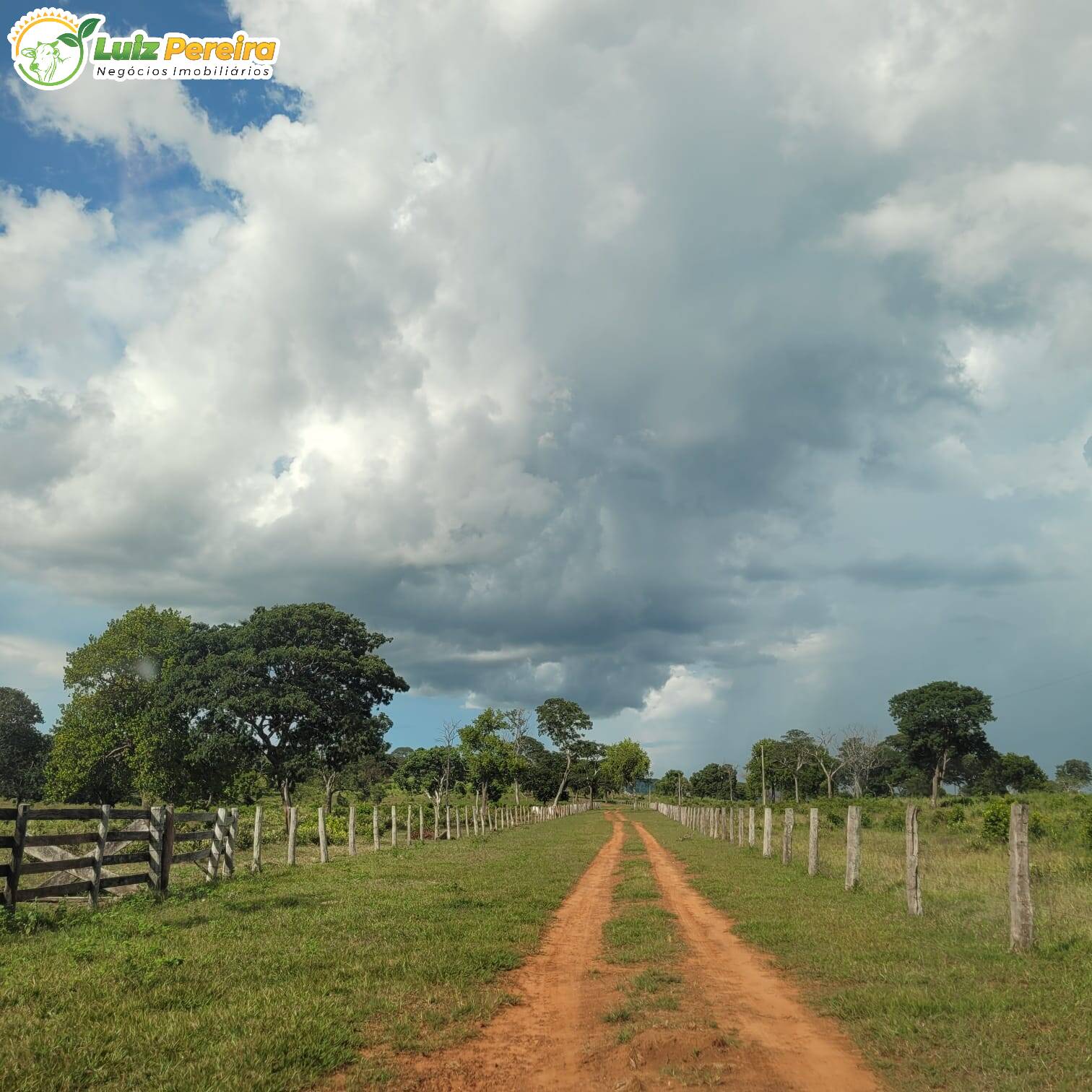 Fazenda à venda, 4892m² - Foto 7