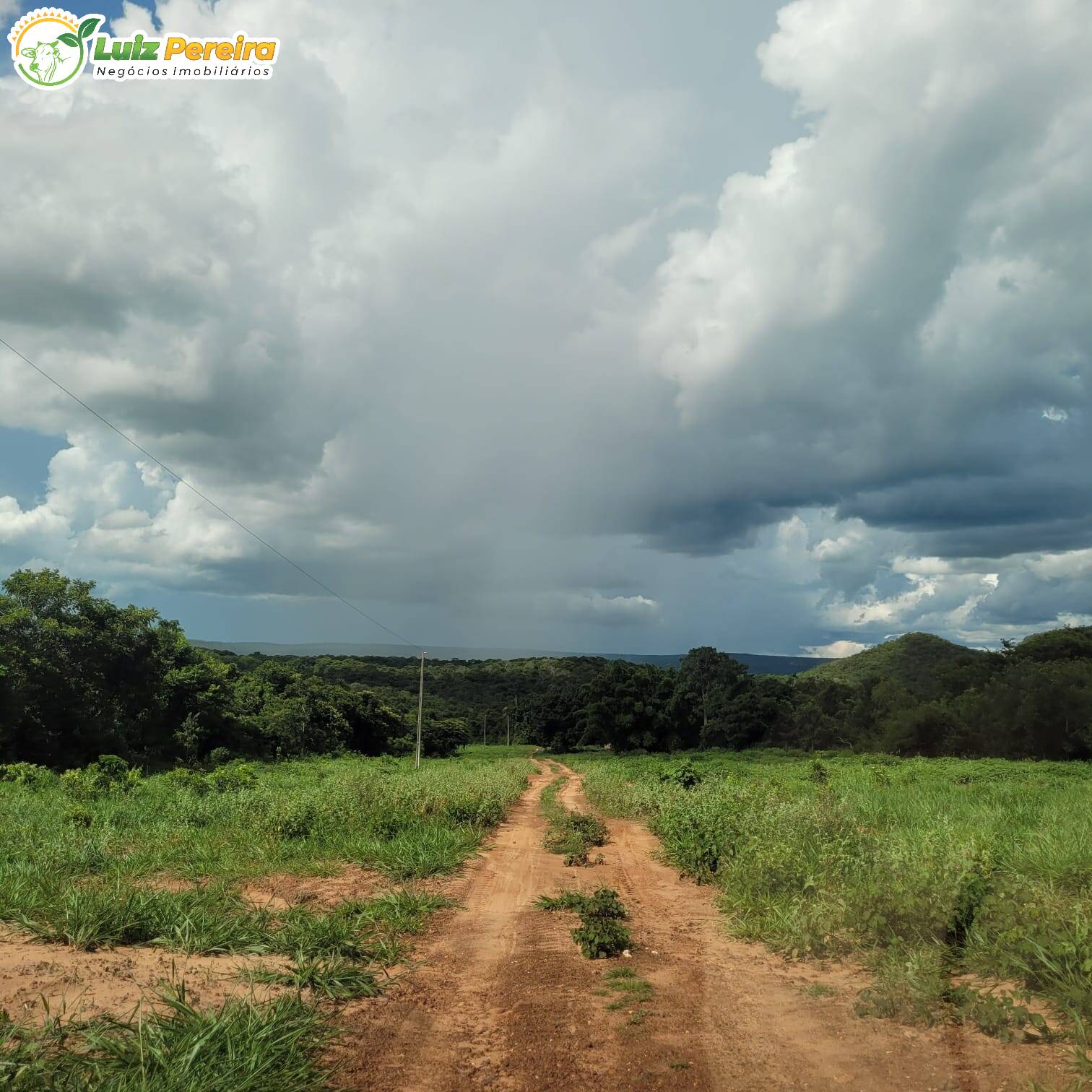 Fazenda à venda, 4892m² - Foto 8