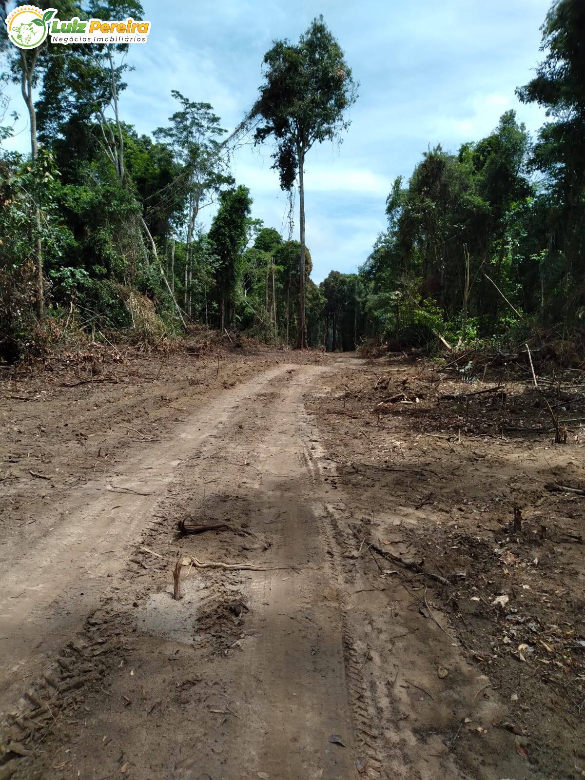 Fazenda à venda, 2010m² - Foto 8