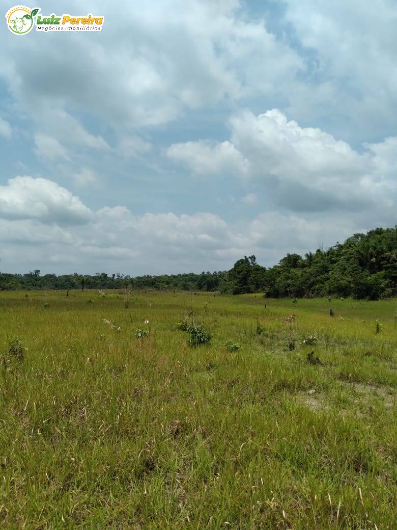 Fazenda à venda, 2010m² - Foto 1