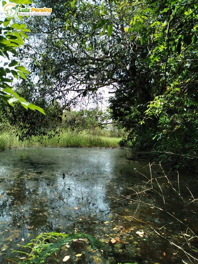 Fazenda à venda, 2010m² - Foto 13