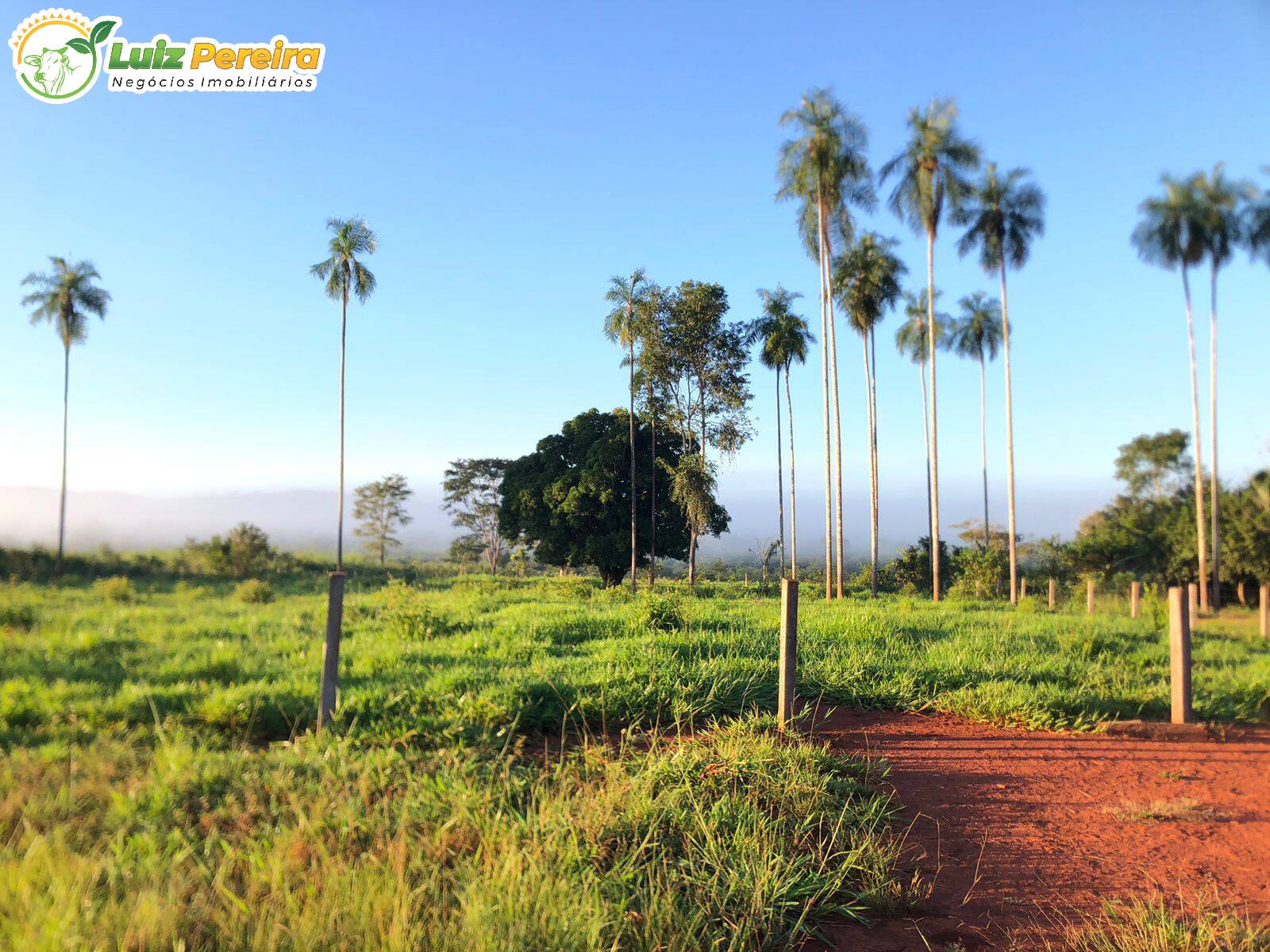 Fazenda à venda, 4448m² - Foto 6