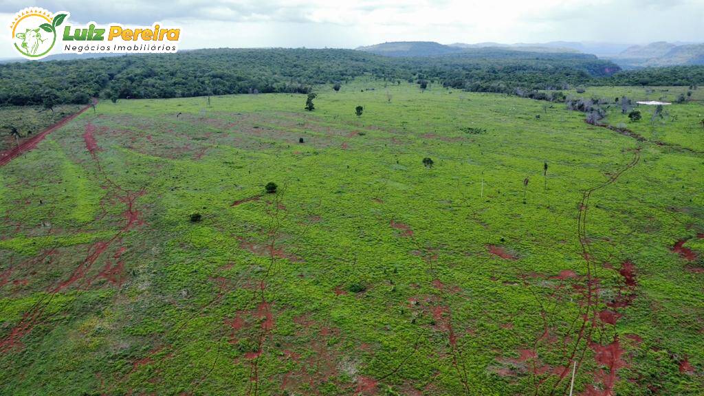 Fazenda à venda, 1147m² - Foto 8