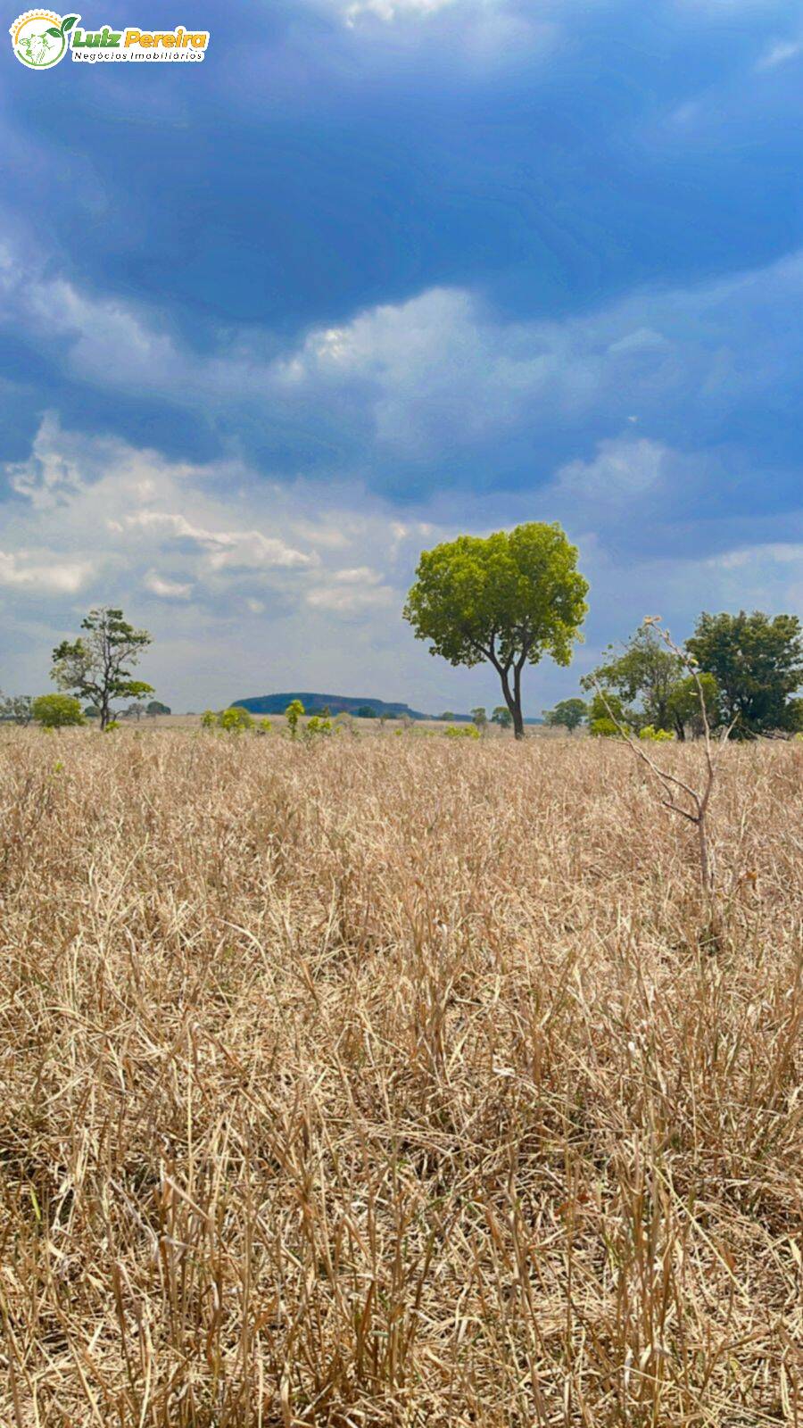 Fazenda à venda, 355m² - Foto 9