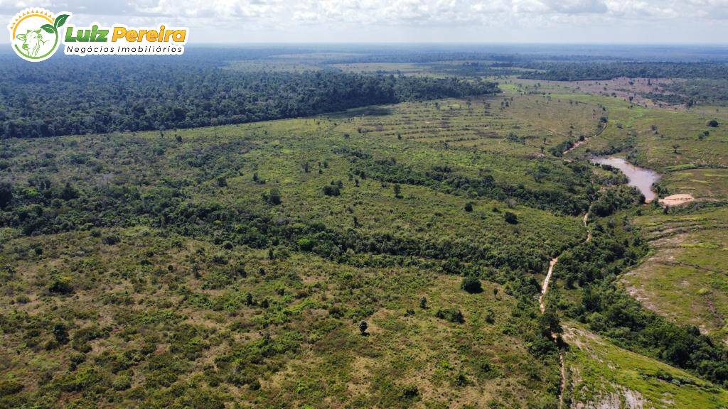 Fazenda à venda, 2250m² - Foto 10