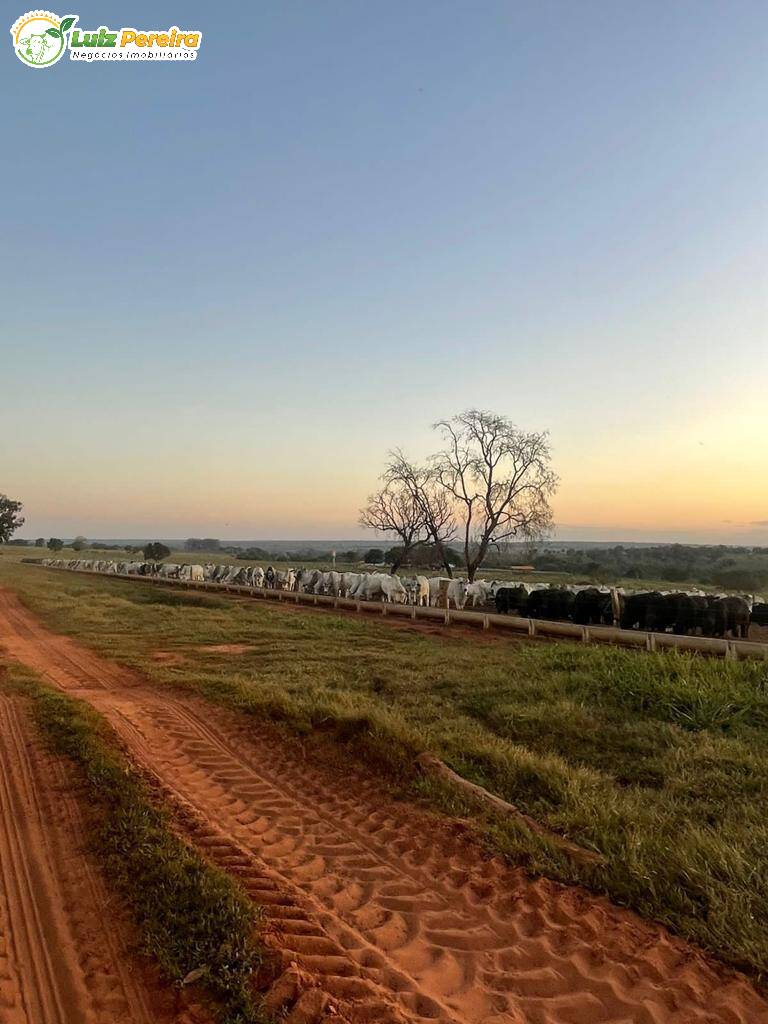 Fazenda à venda, 363m² - Foto 2