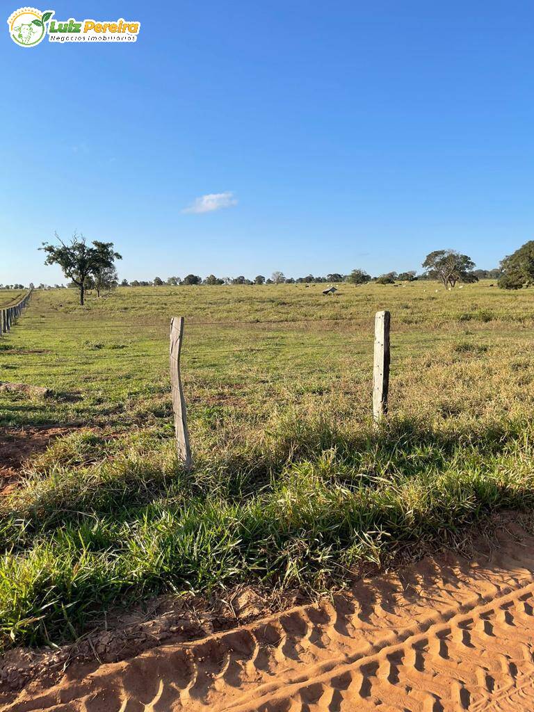 Fazenda à venda, 363m² - Foto 1