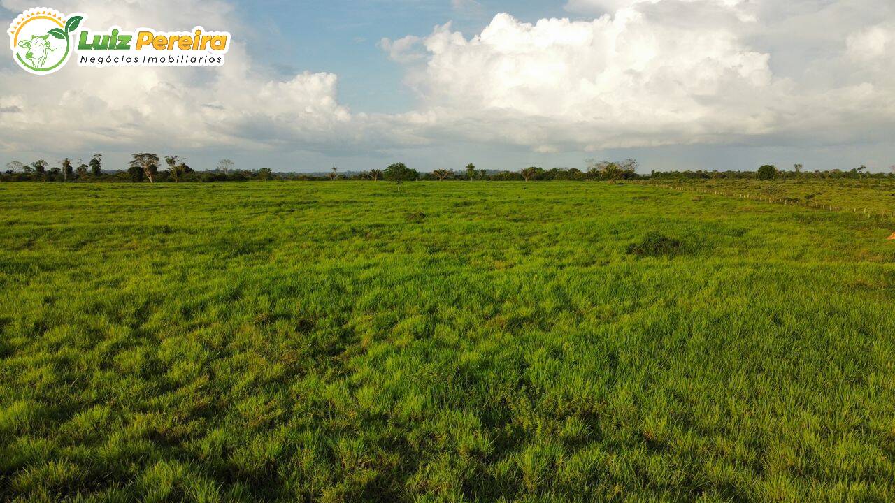 Fazenda à venda, 1723m² - Foto 5