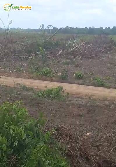 Fazenda à venda, 1450m² - Foto 4