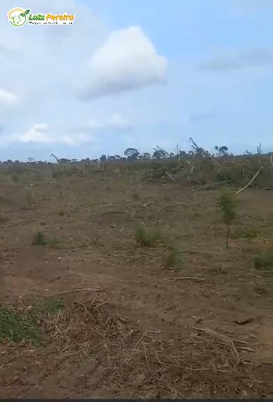 Fazenda à venda, 1450m² - Foto 6