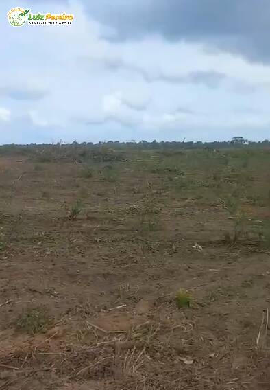 Fazenda à venda, 1450m² - Foto 1