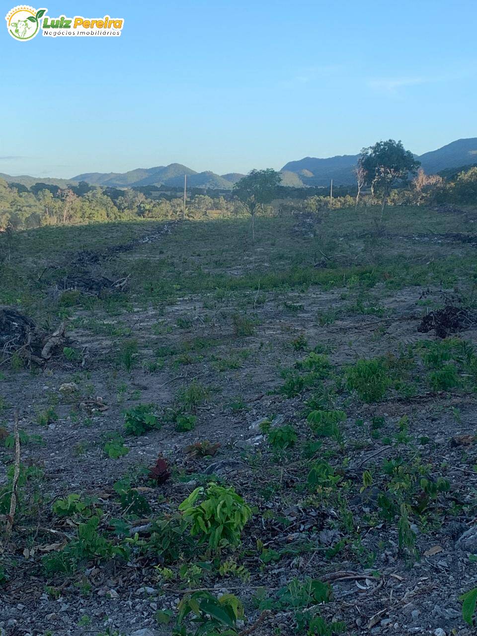 Fazenda à venda, 462m² - Foto 1