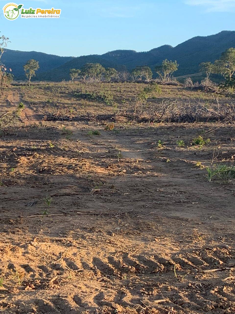 Fazenda à venda, 462m² - Foto 7