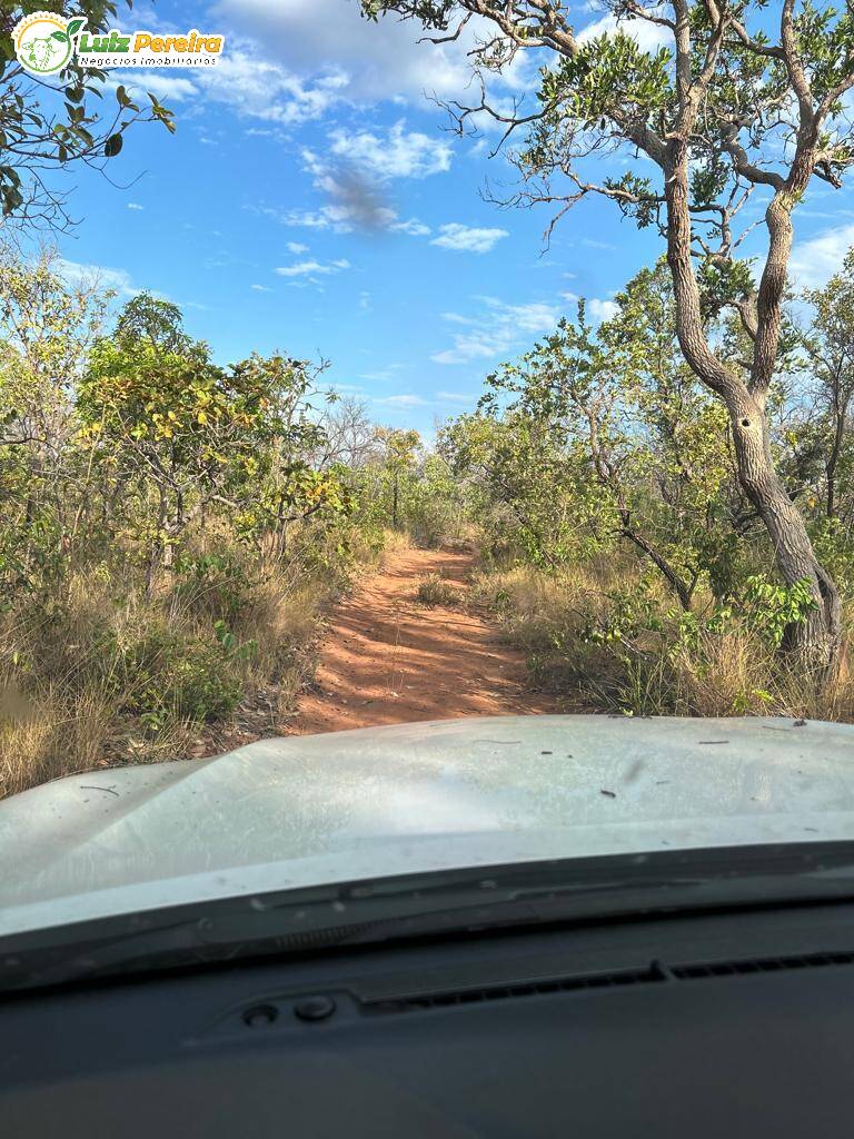 Fazenda à venda, 1069m² - Foto 8